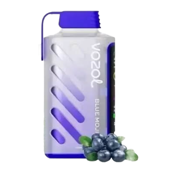VOZOL BLUE MOJITO 5/20K 5%