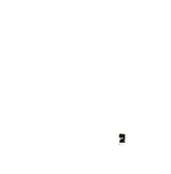 BACKWOODS 2 FLV DSP 200/20/10PK