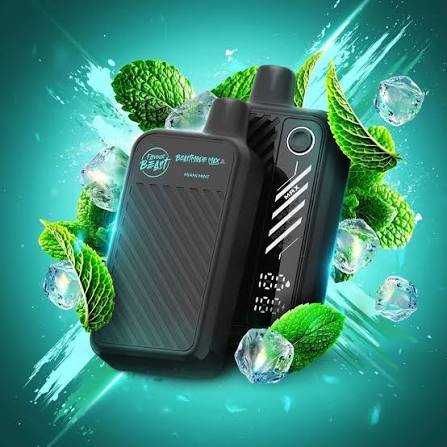 FLAVOR BEAST MIAMI MINT 5/50K