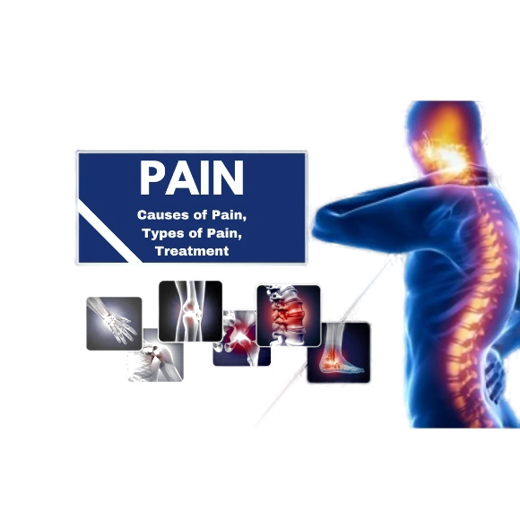 PAIN OUT POWDER RED BALI 252GM