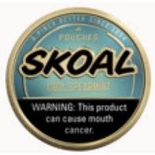 SKOAL COOL POUCHES SPRMNT 18/5CT