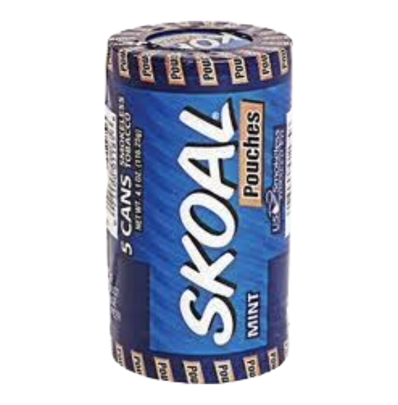 SKOAL POUCHES MINT 18/5 CT