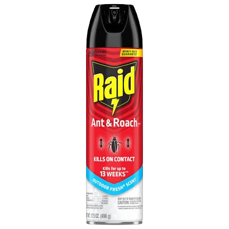 RAID ANT/ROACH AERO 12 OZ