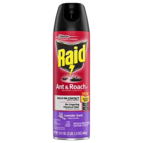 RAID ANT/ROACH KILLER 12OZ O/FRESH