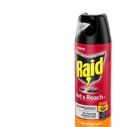 RAID ANT/ROACH ORANGE 17.5 OZ