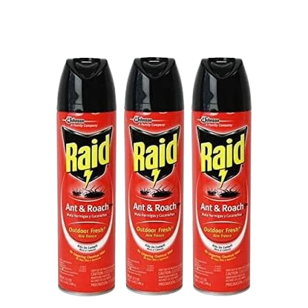 RAID ANT/ROACH OUTDOOR 17.5 OZ