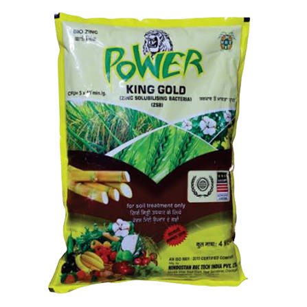 POWER KING GOLD 6000 20 CT