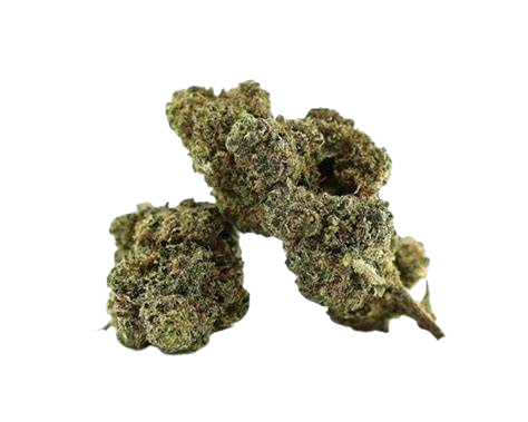 MAGIC SPEC SAUC FLOWER 3.5 GRAM PCH