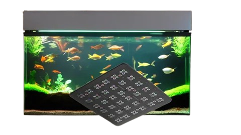 LAMP AQUARIUM FISH OR CAR 215