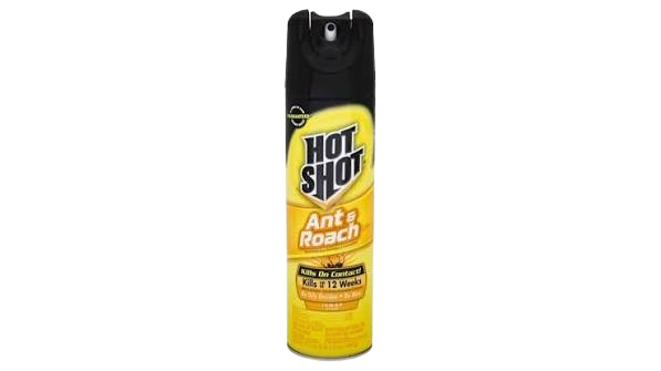 HOT SHOT LEMON RCH/ANT SPIDER 17.5