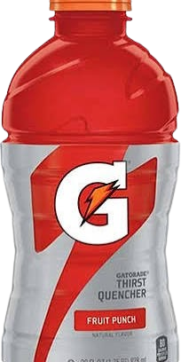 GATORADE FRT PUNCH 28 OZ